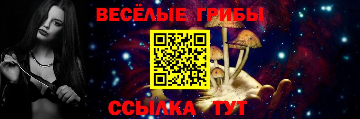 Галлюциногенные грибы MAGIC MUSHROOMS  Вход с VPN  Славянск-на-Кубани 